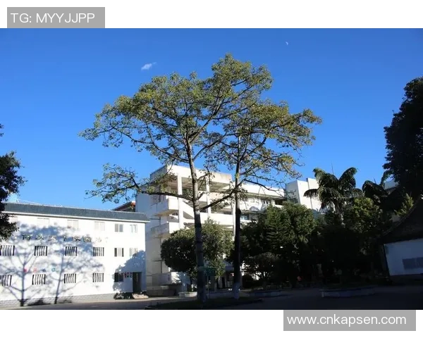 三位足球明星头像女孩展现运动魅力与青春风采,激励女性勇敢追梦 三位足球明星头像女孩展现运动魅力与青春风采,激励女性勇敢追梦