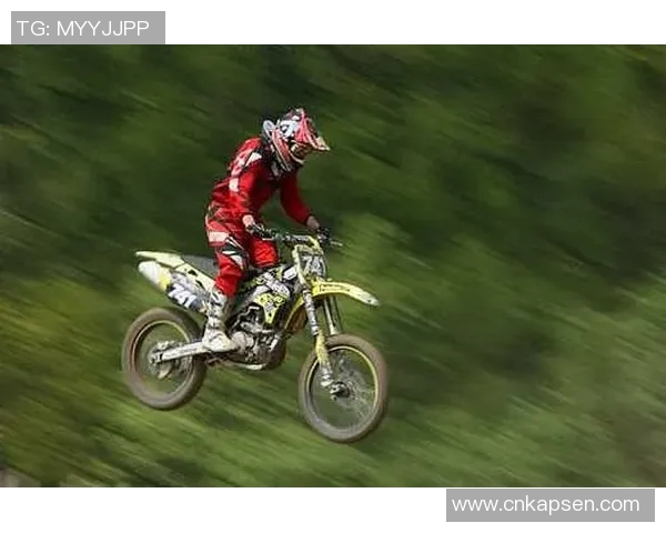 足球天才小海豚闪耀球场动感瞬间高清壁纸展示 足球天才小海豚闪耀球场动感瞬间高清壁纸展示